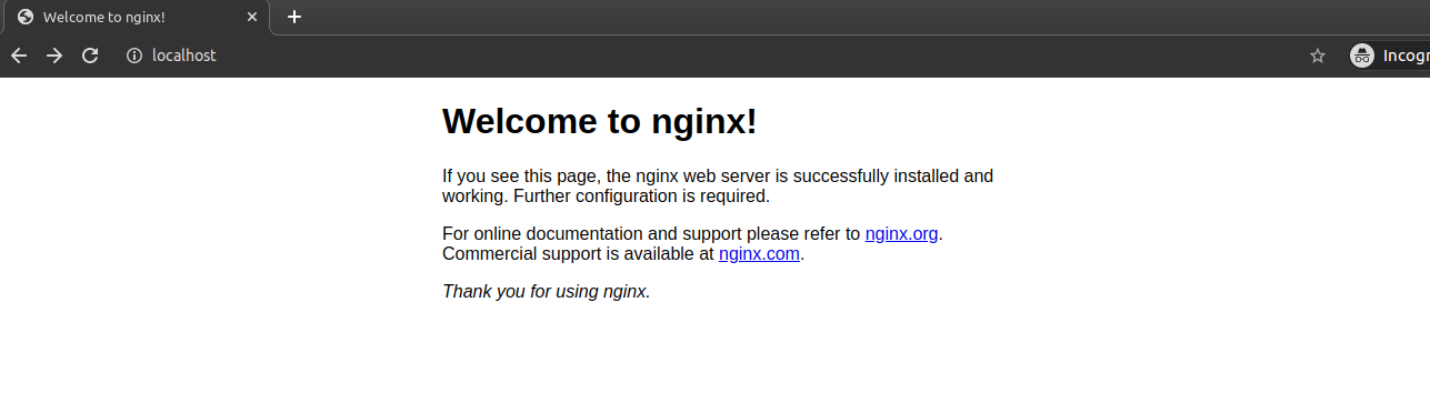 nginx_output